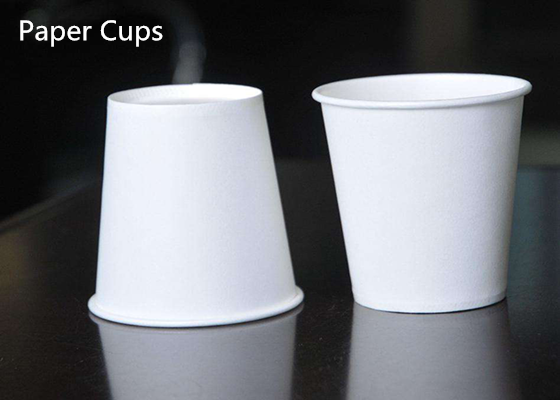 Disposable Paper & Plastic Cups