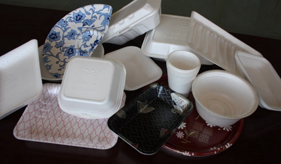 Foam Plates - Recyclable Packaging