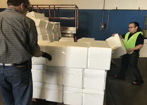 recycling styrofoam fish boxes