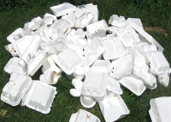 Styrofoam Reuse and Recycling – Office of Sustainability – UW–Madison