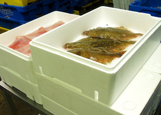 styrofoam packaging boxes